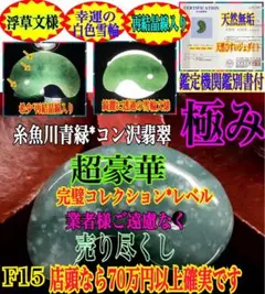 2026年最新】入りコン沢の人気アイテム - メルカリ