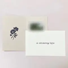 阿部顕嵐 I OF THE STORM FC会員証 チェキ