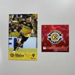 2025 YBC ルヴァンカップ　柏レイソル　9番　細谷真大