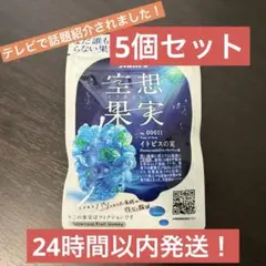 【5個セット】Kanro 空想果実 イトピスの実 グミ　販路限定　テレビで話題のサムネイル