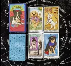 ☆タロットカード☆ DOG TAROT