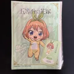 【即購入可】くじコレ 五等分の花嫁 中野四葉　クリアファイル アクリルスタンド