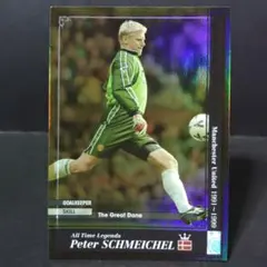 ATLE　ピーター・シュマイケル　グレートデーン　マンU　WCCF　PANINI