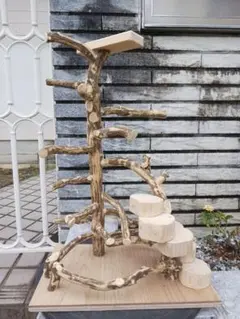 2025年最新】バードアスレチックの人気アイテム - メルカリ