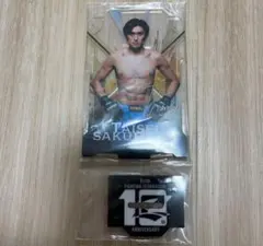 Item thumbnail for item 2a90efe1-c17f-4241-baa8-e762d53d37e6