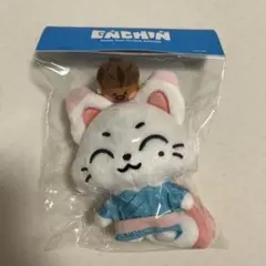 ENCHIN PLUSH KEYRING_JP KISHU 日本限定　キシュ
