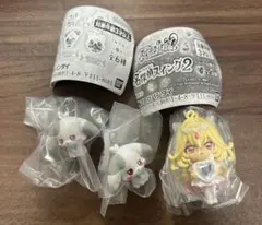 푸치큐아, 푸리큐아