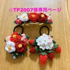 ☆TP2007様専用ページ
