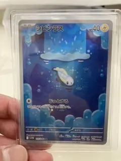 ポケモンカード シビシラス マリル プロモカードセット　４枚セット