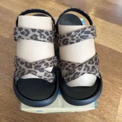 Item thumbnail for item a7272a99-25ca-4fe5-96bd-c8140372d48c