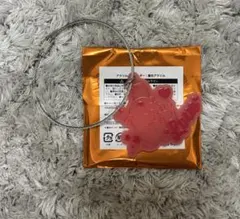 チェンソーマン 蓄光 アクリルキーホルダー ポチタ