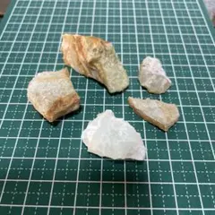 Item thumbnail for item 10f81b06-48e1-429e-84d6-611636a9f179