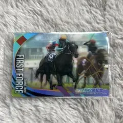 ファストフォース サラブレッドホースコレクション サイン入り - メルカリ