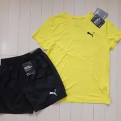 PUMAプーマ、トレーニングウェア、セットアップ、上下セット新品★サイズ160