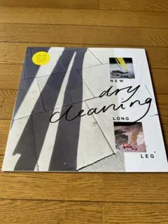 Dry Cleaning / New Long Leg 限定イエロー・ヴァイナル