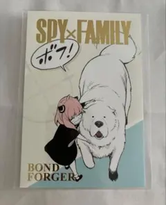 アーニャ　スパイファミリー　3枚セット