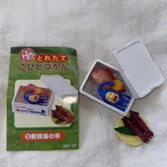 産地直送とれたてこびとづかん　オオヒレカワコビトのサムネイル