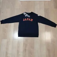 Item thumbnail for item 6cd3b9ab-33b1-4aa0-9613-d78f5a1ea35d