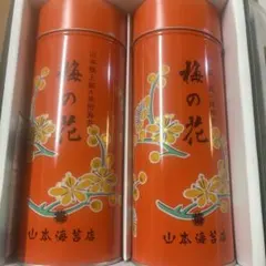 Item thumbnail for item 207579d6-ad06-4126-875c-a626dc6a540e