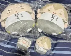 ハイキュー！！ くじメイト ぬいくじ C賞 D賞 E賞 赤葦京治 木葉秋紀