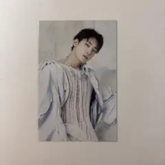 SEVENTEEN セブチ ショルダーバッグ トレカ ウォヌ