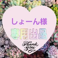 【速達】しょーん様 専用 レディハート