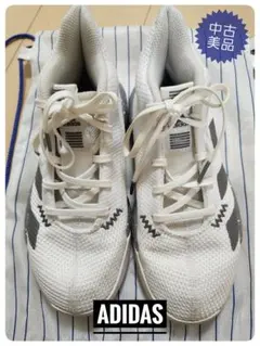 adidas　バスケシューズPro Next 2019 K　21cm(中古美品)のサムネイル