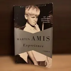 Martin Amis / Experience