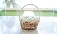 Item thumbnail for item 23a0ac49-2986-4ffa-aeaf-2f0cf56867b5