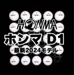 13※最新2024モデル ホンマD1 ロストボール24球