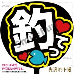 KX-1141 ファンサうちわ コンサートうちわ 文字うちわ 名前文字