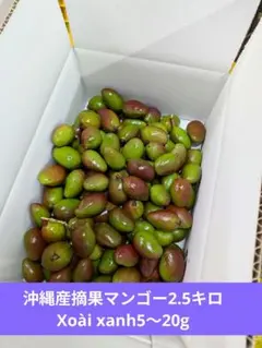 沖縄産摘果マンゴー5キロXoài xanh5〜20g - メルカリ