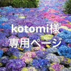 プロフ参照✨Kotomi様 リクエスト 3点 まとめ商品