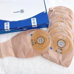 Item thumbnail for item 5d451922-ba69-4aef-9899-c89c5b0f7d08