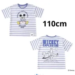 Item thumbnail for item 2b8324ab-5498-4d3c-820e-3cfe90835948