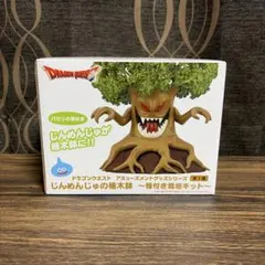 ドラゴンクエスト じんめんじゅの植木鉢 種付き栽培キット パセリのサムネイル