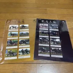 JRA 非売品 クリアファイル セット 2025年最新】JRA クリアファイル セットの人気アイテム - メルカリ