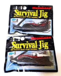 Item thumbnail for item ceb7921f-a45e-47ee-b7ce-b90befc6998a