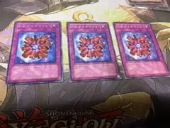 遊戯王　　DDダイナマイト　3枚　FET