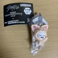 StrayKids スキズ SKZOO つまんでつなげてますこっと vol.2