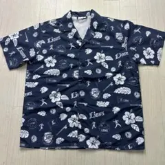 Item thumbnail for item 84cac1b5-6720-4765-adbb-fdd4a690ceff