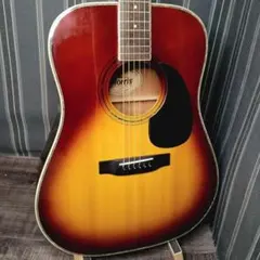 m33508459414_1.jpg?1769086495