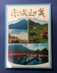 Item thumbnail for item e38b21b2-30f0-46db-9899-701af600ad01