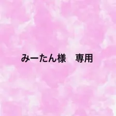 みーたん様　専用ページ