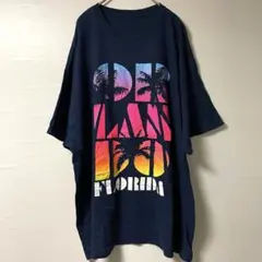 オーランド・フロリダ Tシャツ 2XL ネイビー　ビッグシルエット