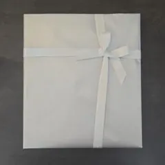 Item thumbnail for item 76793039-1d4a-409a-9f7d-19f887a21211