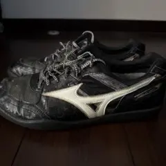 Item thumbnail for item 4b535337-c769-4cfa-9601-799f4cc8e450