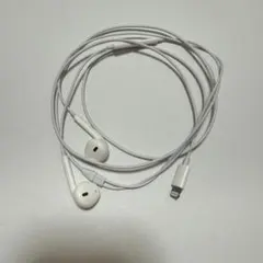 apple純正イヤホンライトニング