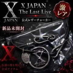 X JAPAN 2015 プラチナVIP非売品 スワロフスキーネックレス - メルカリ