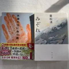 木洩れ日に泳ぐ魚 & みぞれ 2冊セット　重松清　恩田陸